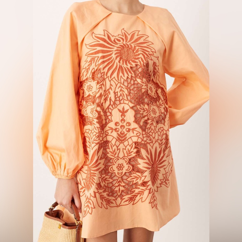 ASOS EDITION Embroidered Mini Dress